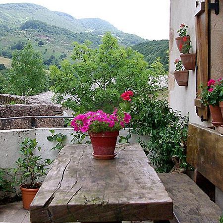 Casa Rural Parriola Villanueva de Arce Экстерьер фото